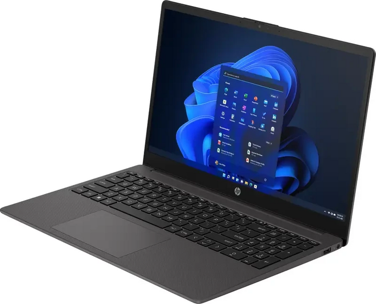 HP 255 G10 Dark Ash Silver N100167 фото